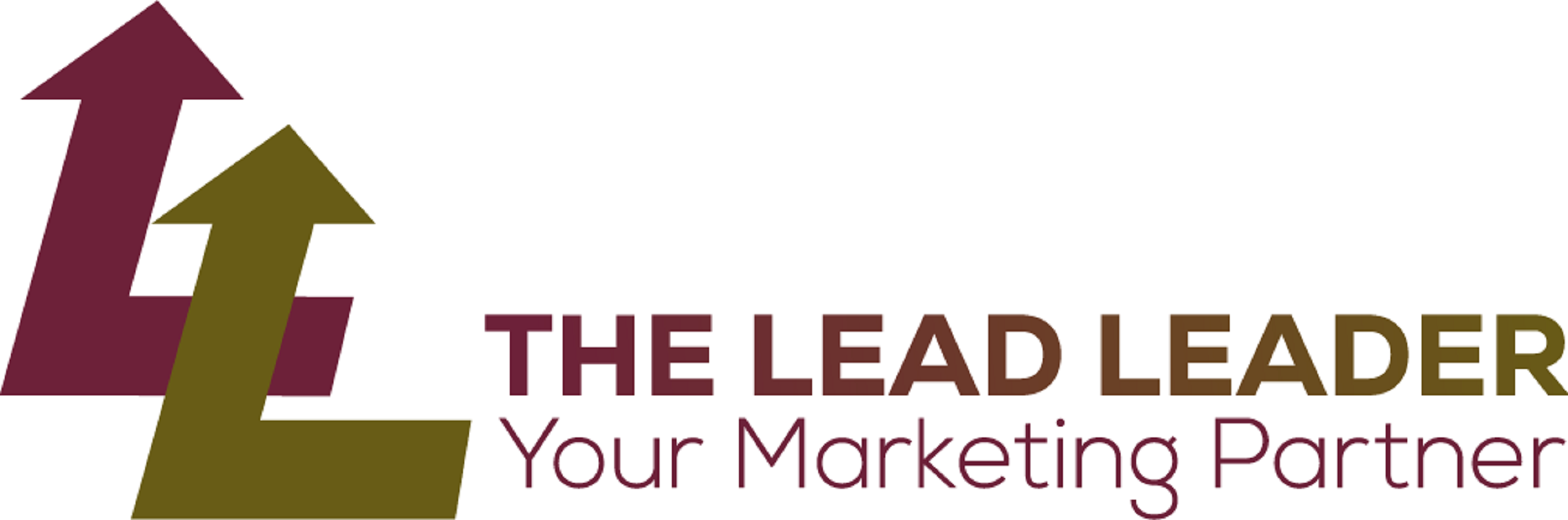 Websitemuse web design and web hosting marketing the lead leader